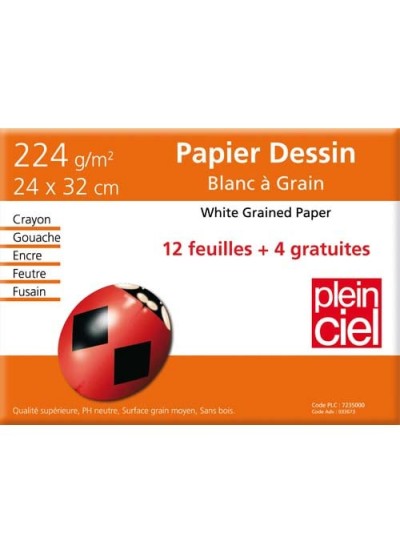 Papier dessin - 12 feuilles 24 x 32 cm - 224 g/m² - C à grain - Canson -  Blanc - Papiers et pochettes dessin - Supports de dessin et coloriage